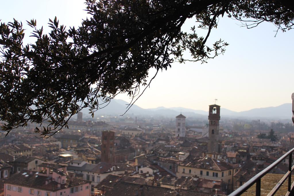 La Terrazza Da Ernestina Διαμέρισμα Λούκα Εξωτερικό φωτογραφία